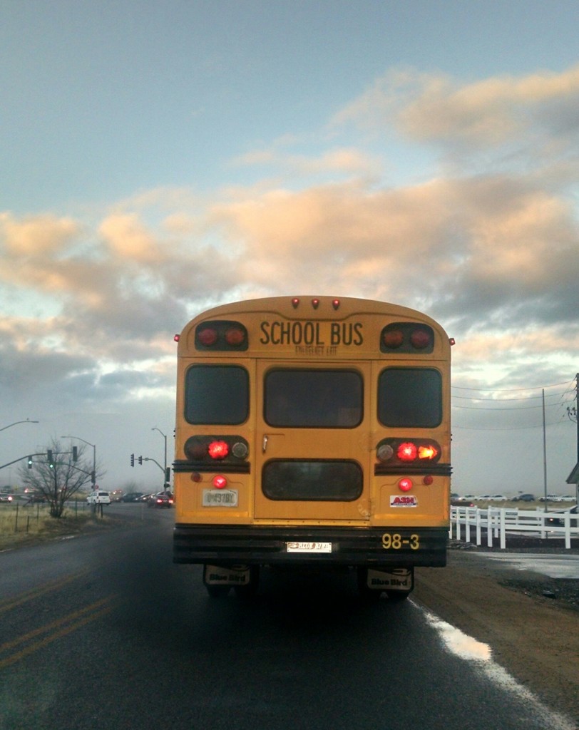 Ann Doherty photo of School bus - commute 