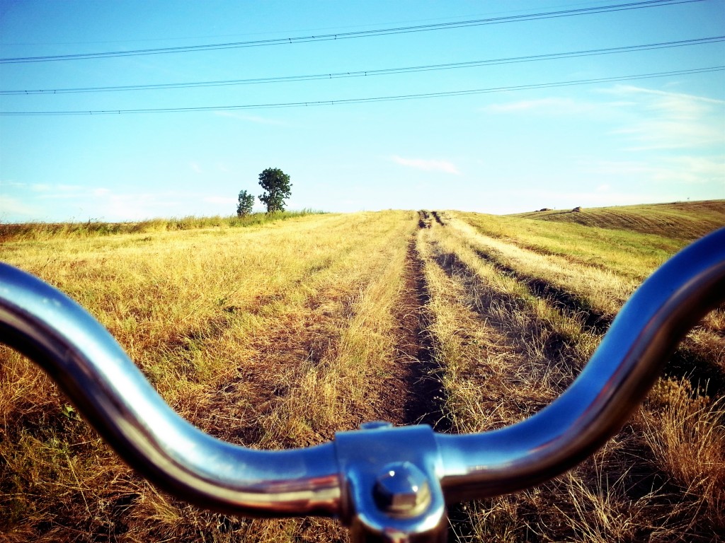 Photogjul photo of bike in a field - commute 