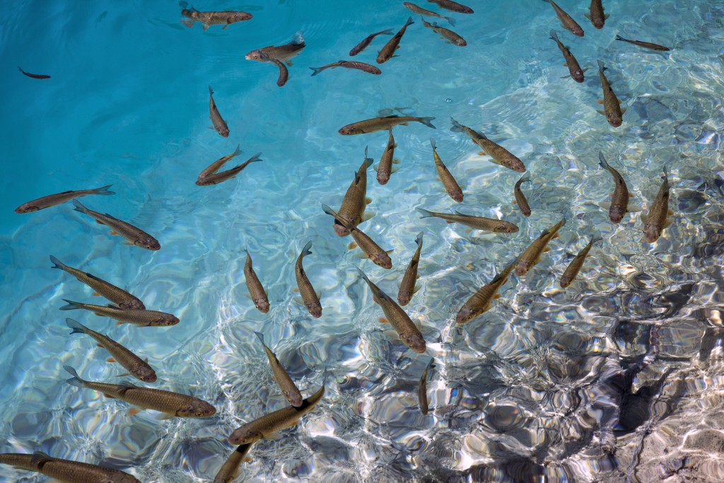 Tropical sea photo by Cabas