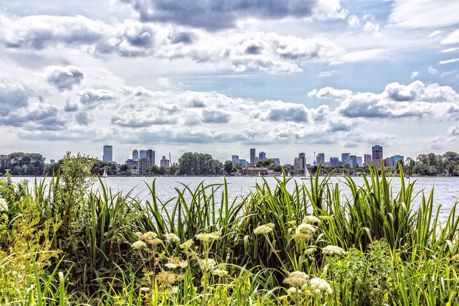 5 basic tips to improve your photos 5 basic tips to improve your photos